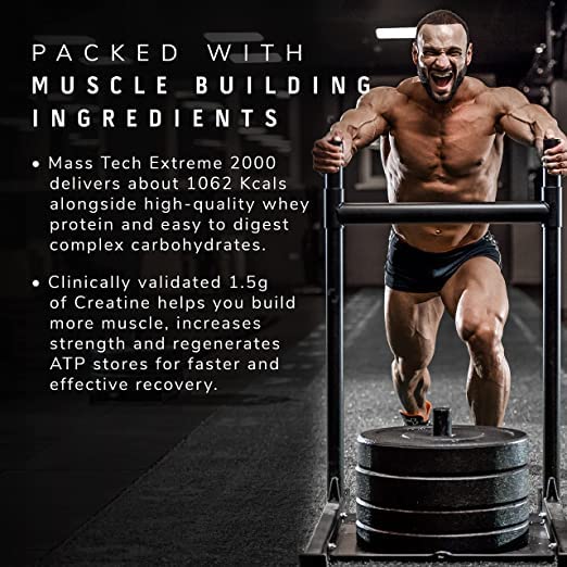MuscleTech masstag extrem 2000